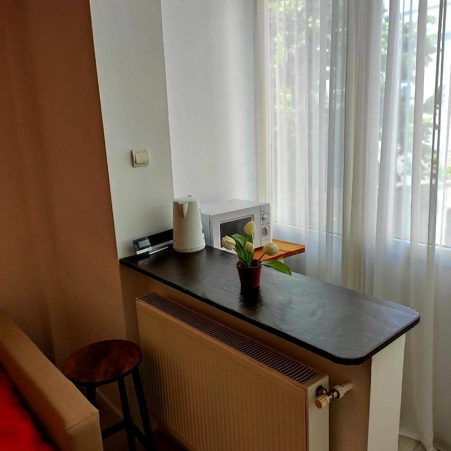 Апартаменты Garsoniera Centrul Bucurestiului Экстерьер фото